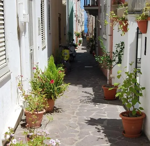 Apartamento Baia Unci *